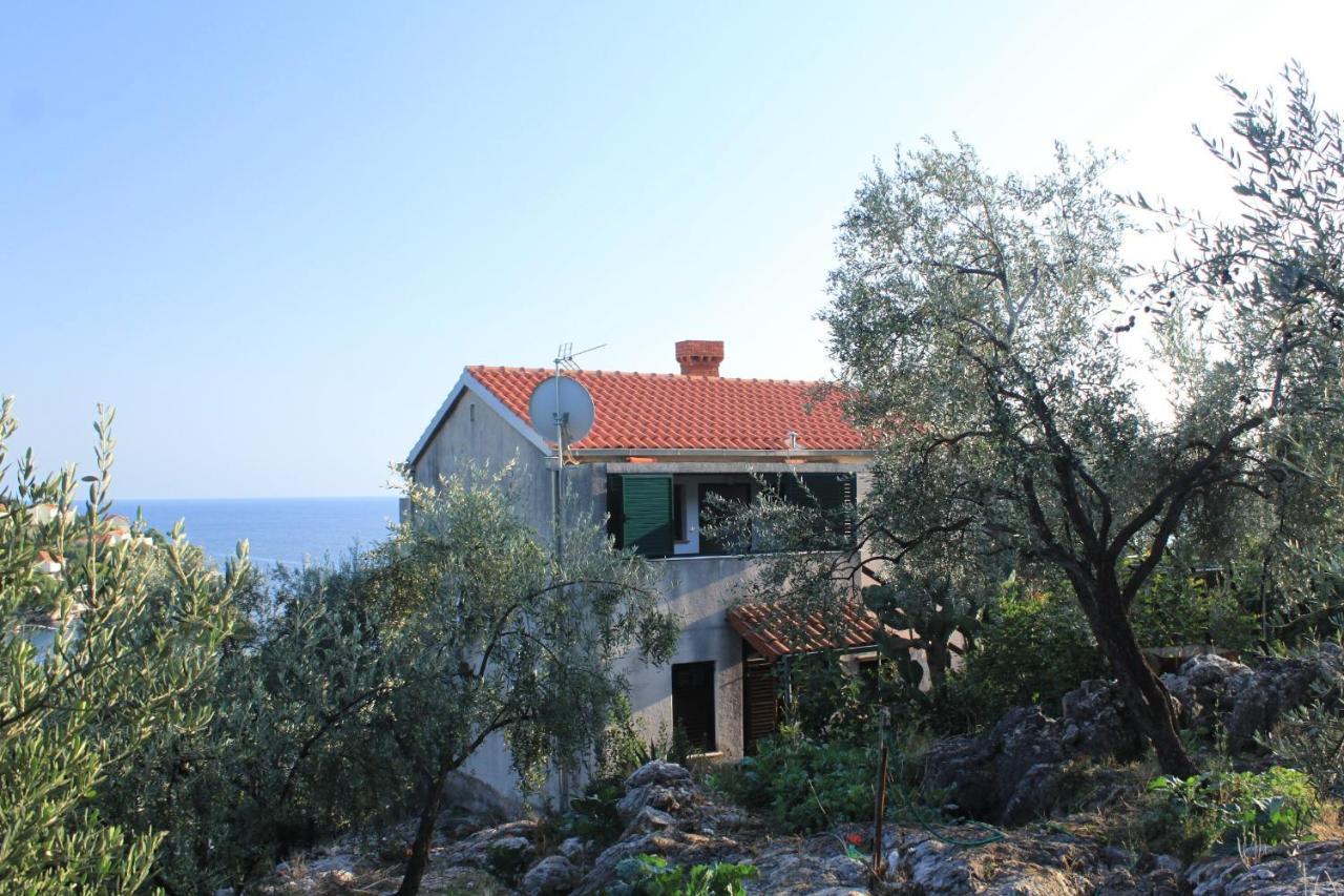 Apartments By The Sea Molunat, Dubrovnik - 8550 Εξωτερικό φωτογραφία